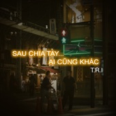 Sau Chia Tay...Ai Cũng Khác artwork