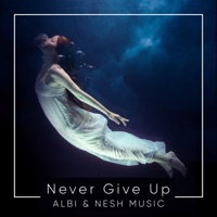 Never Give Up (feat. Albi) - Single - Nesh Music