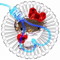 Meth Lab Shawty - Single - 8ngelonline