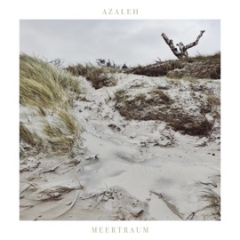 Meertraum Azaleh