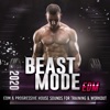 Beast Mode EDM 2020 - Edm & Progressive House Sounds For Training & Workout