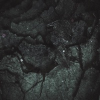 Captured - Single - Harbor Fate