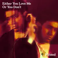 Either You Love Me or You Don't — Plested