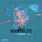 Mantalite - CJ Robust lyrics