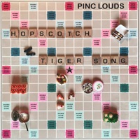 Pinc Louds Ablum Cover