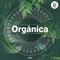 Mermaids (Digitalic Remix) - Rafael Becker, Dreamers, Inc., Tibetania & MaryAnnViolin lyrics