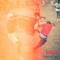 Gaitas del León (feat. El León Pardo) - Single - Indus