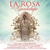 La Guadalupana artwork