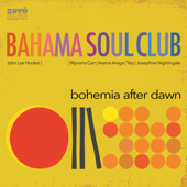 Never Roam No More (feat. John Lee Hooker) - The Bahama Soul Club Cover Art