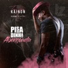 Pisadinha Abençoada (feat. Cicero Oliveira) - Single