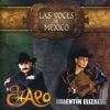 Vete Ya by Valentín Elizalde iTunes Track 14