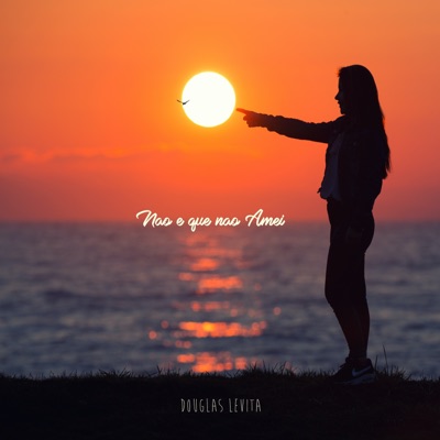 Não É Que Não Amei - Single