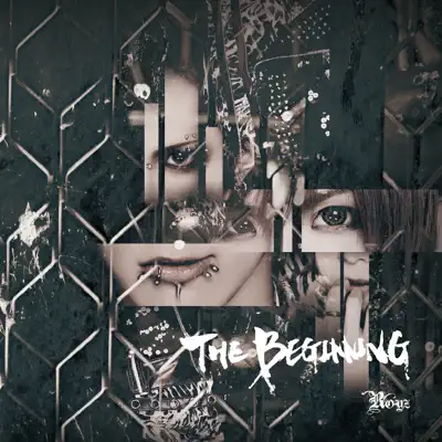 The Beginning D-type - Single - Royz