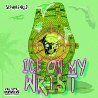 Ice On My Wrist (feat. Sunny Fritz, Skinny Scumbag & Lil Scumbag) - Single - Scumbag Wrld