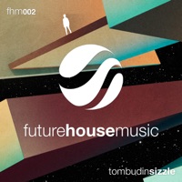 Sizzle - Single - Tom Budin