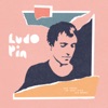 Ludo Pin