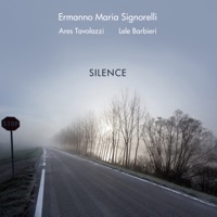 Silence (feat. Ares Tavolazzi & Lele Barbieri) - Ermanno Maria Signorelli