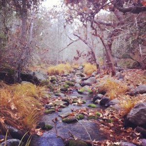 Peaceful Creek Sounds : The Healing Sounds of Moving Water to Calm Anxiety, Stress and Worry