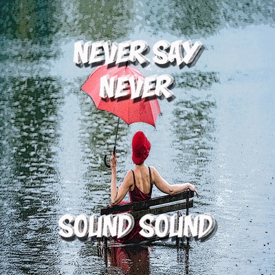 Never Say Never - Single