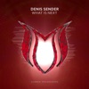 Denis Sender & DJ T.H. - What Is Next