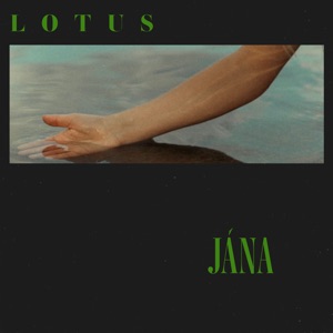 Lotus - Single