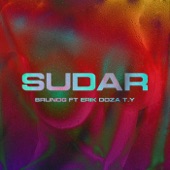 Sudar (feat. Erik Doza & Tony Money & Young Miky T.Y.) artwork