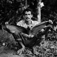 Fornalha - Norberto Lobo