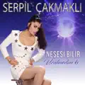Ayrilmasaydik
