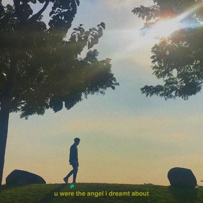 U Were the Angel I Dreamt About - Single