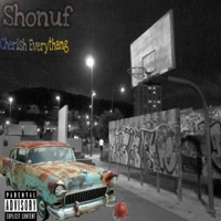 Cherish Everythang - Single - Shonuf