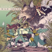 Wild Youth artwork