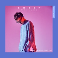 Sorry (feat. Angelina Danilova) - Single - Won Jang