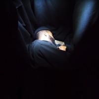 Crypt - Single - Pritty