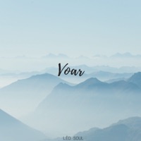 Voar - Single - Leo Soul