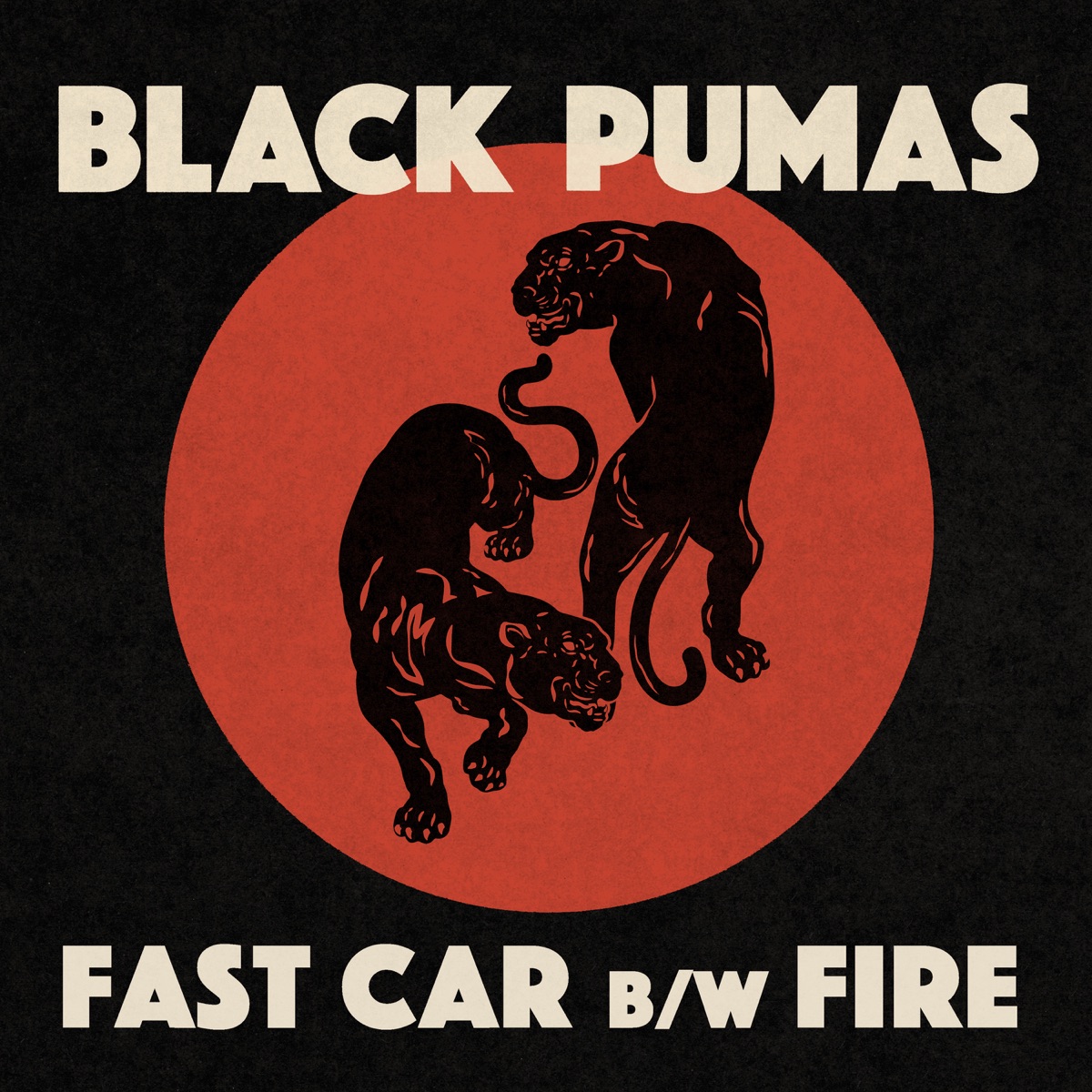 Black Pumas - Chronicles of a Diamond (Official Audio) 