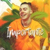 Importante - Single