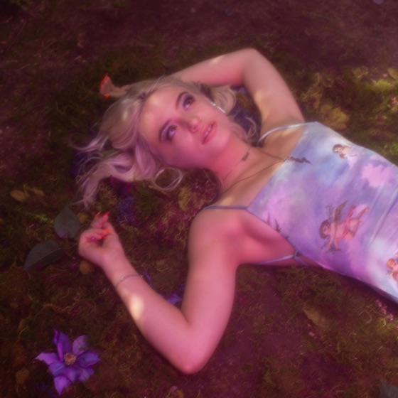 Cover artwork for High School