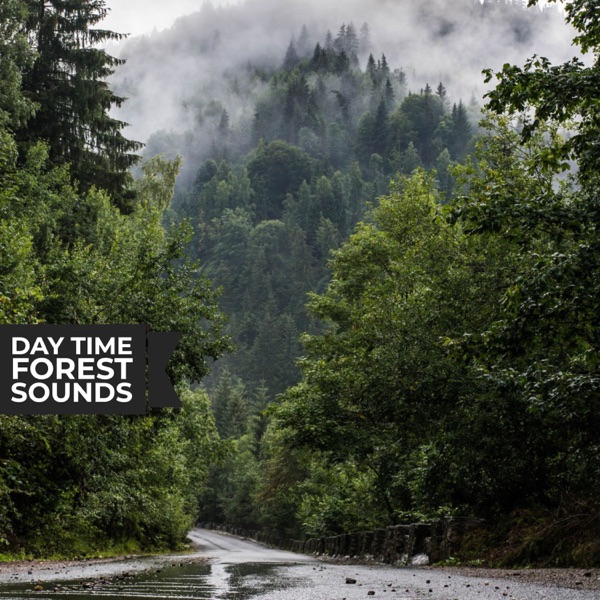 Day Time Forest Sounds - EP