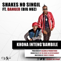 Khona Inteng'Bambile - Single - Shakes No Singil