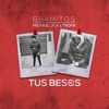 Tus Besos - Single