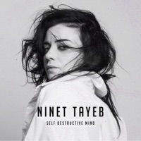Self Destructive Mind - Single - Ninet Tayeb