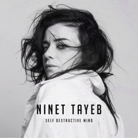 Self Destructive Mind Ninet Tayeb