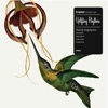 Inspired - Little White Lies