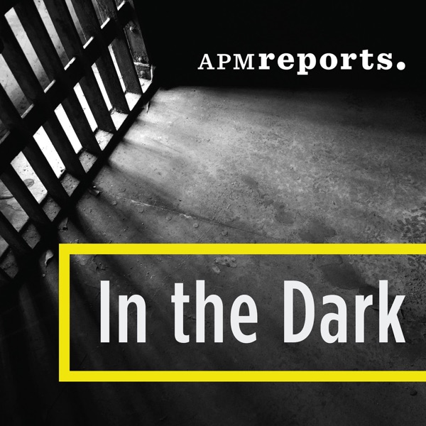 In the Dark In the Dark