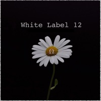 White Label 12 - EP - 13ohms