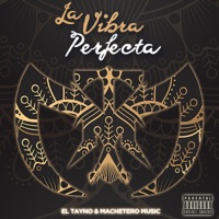 La Vibra Perfecta - El Tayno y Machetero