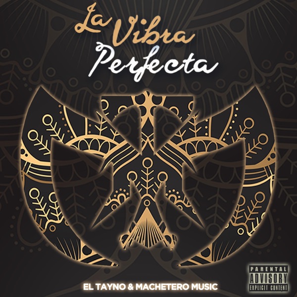 La Vibra Perfecta