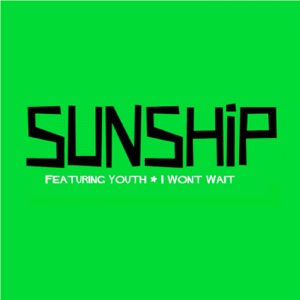 I Won't Wait (feat. Youth) - EP