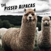 The Pissed Alpacas - January 06, 2020