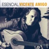 Vicente Amigo Bolero a Marcos (Canción de Amor) Esencial Vicente Amigo